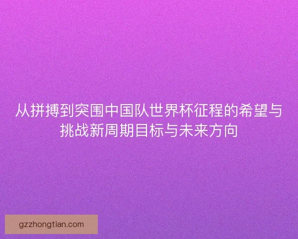 从拼搏到突围中国队世界杯征程的希望与挑战新周期目标与未来方向