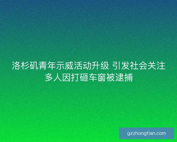 洛杉矶青年示威活动升级 引发社会关注多人因打砸车窗被逮捕