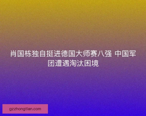 肖国栋独自挺进德国大师赛八强 中国军团遭遇淘汰困境