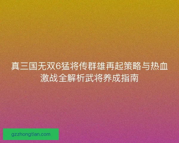 真三国无双6猛将传群雄再起策略与热血激战全解析武将养成指南